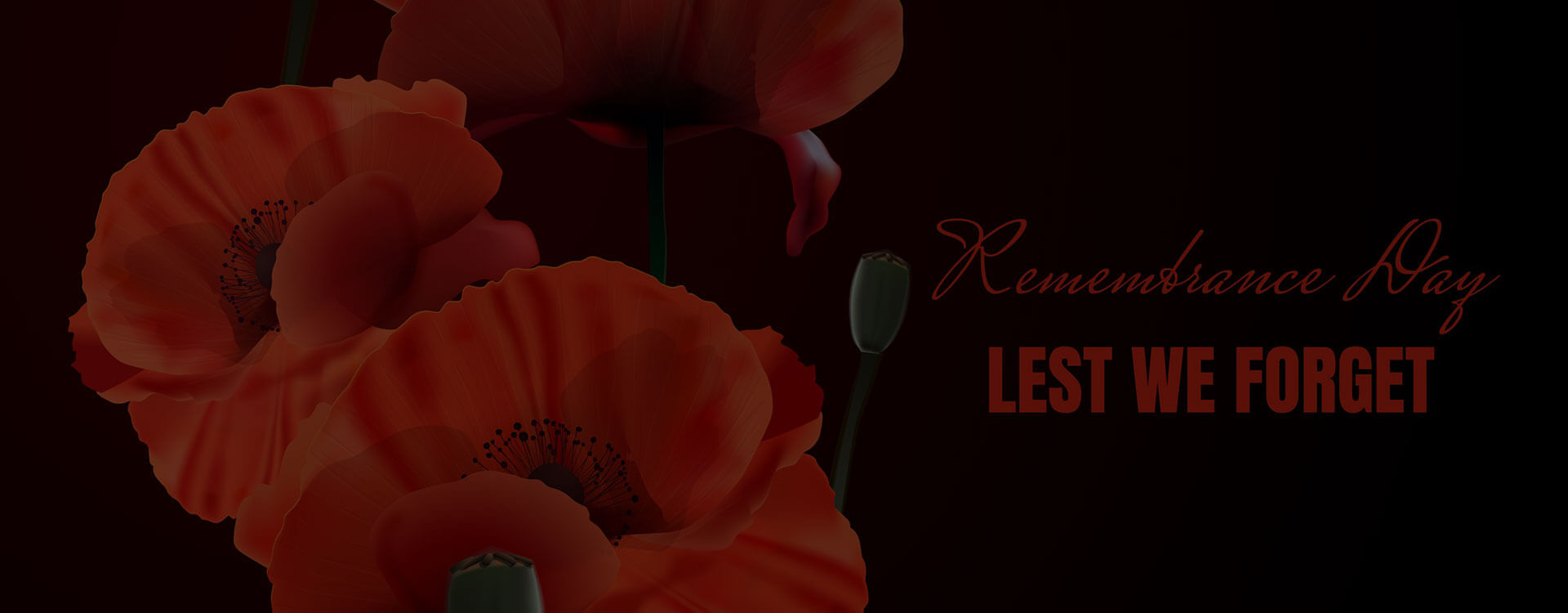 Newsletter: Remembrance Sunday 2025