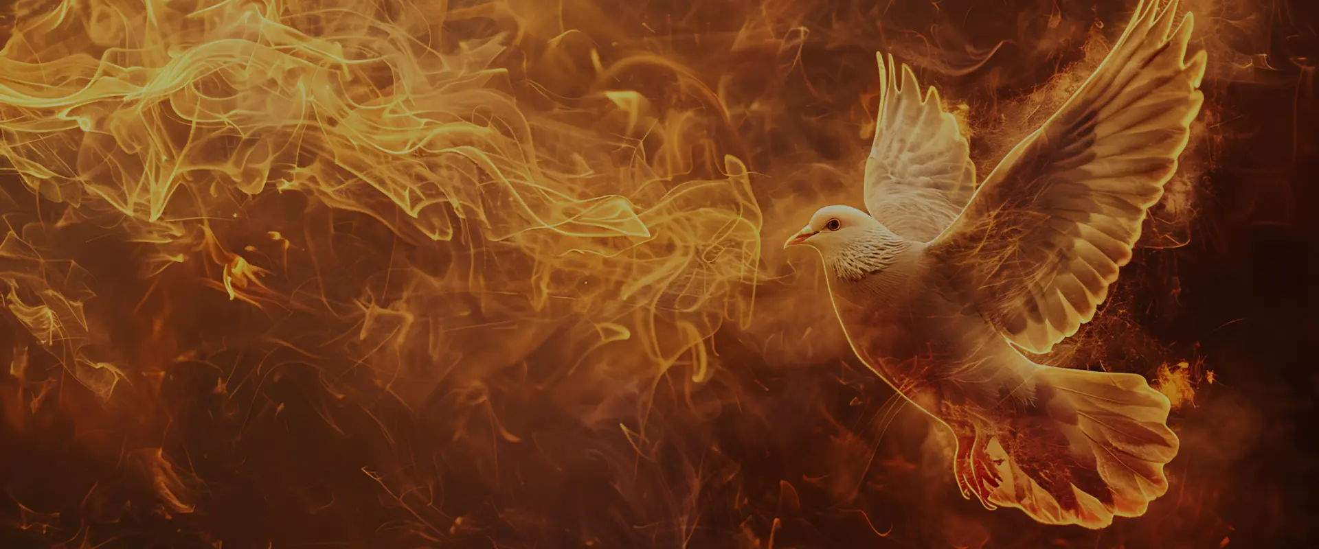 Homily - Solemnity of Pentecost - Year A