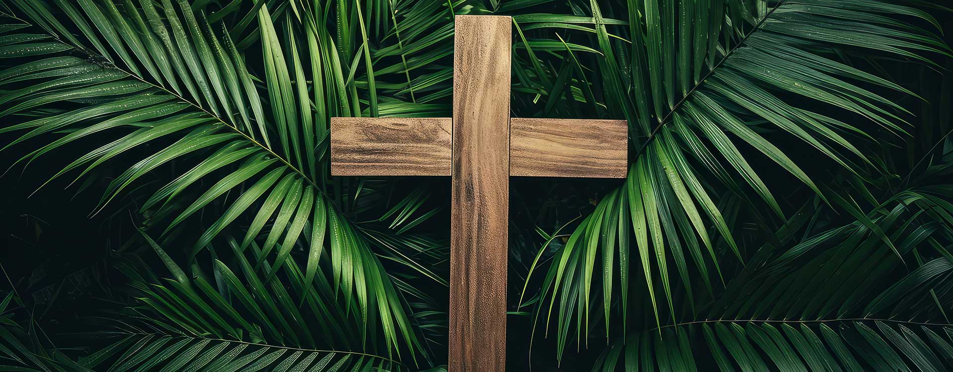 Newsletter: Palm Sunday 2026