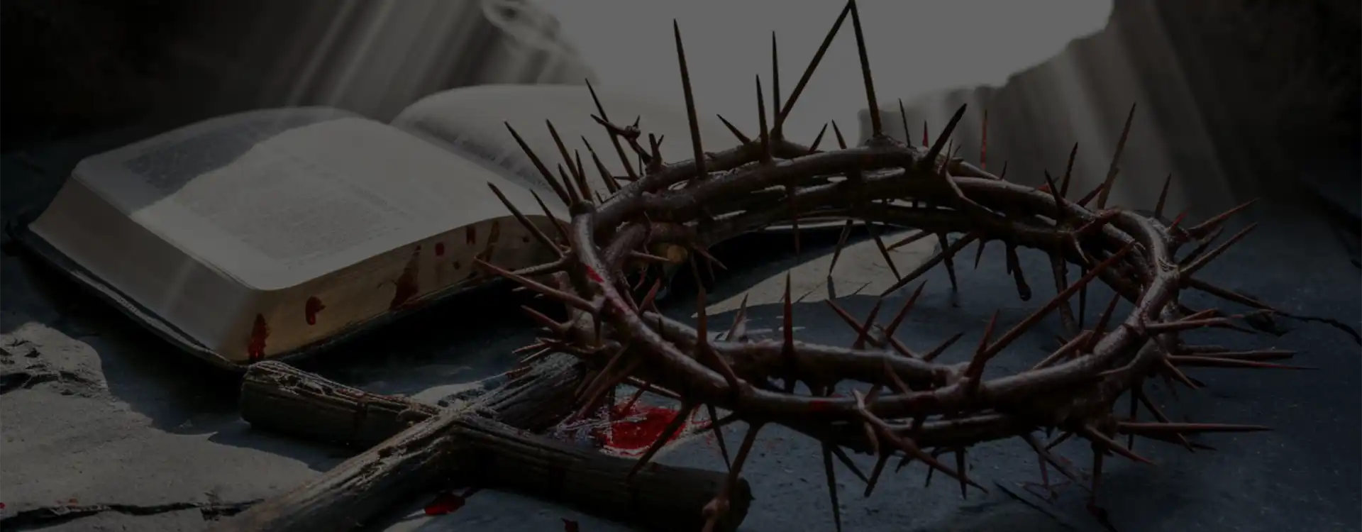 Blessed Dominic Barberi Parish Newsletter & Sermon: Seventh Sunday of Easter 2026