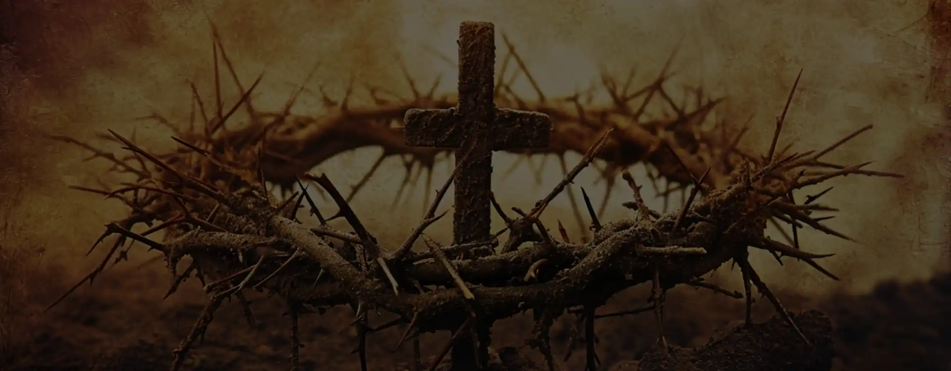 Blessed Dominic Barberi Parish Newsletter & Sermon: Seventh Sunday of Easter 2026