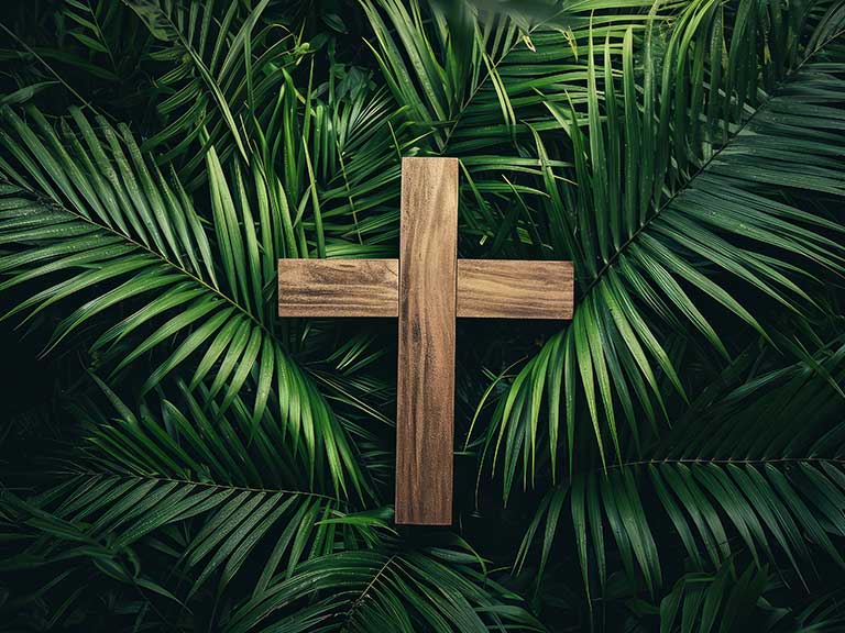 Newsletter: Palm Sunday 2026