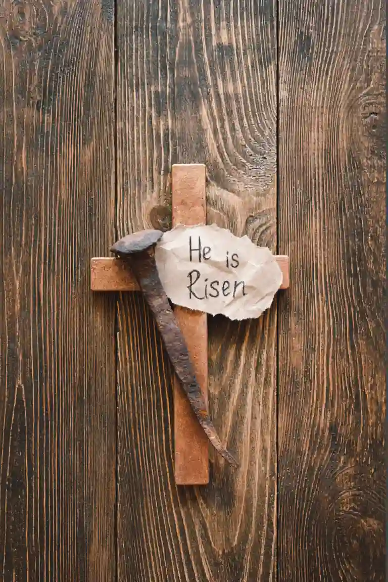 Blessed Dominic Barberi Parish Newsletter & Sermon: Seventh Sunday of Easter 2026